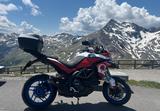 Ducati Multistrada 1200 S GT - Sonderlackierung Pramac  - DUCATI GT