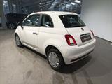 Fiat 500 1.0 MHD Cult Klima|DAB|Bluetooth - Fiat aus 2021