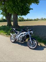 Suzuki SV 650 N (mit A2 Drosselkit) - SUZUKI 2004 SV650