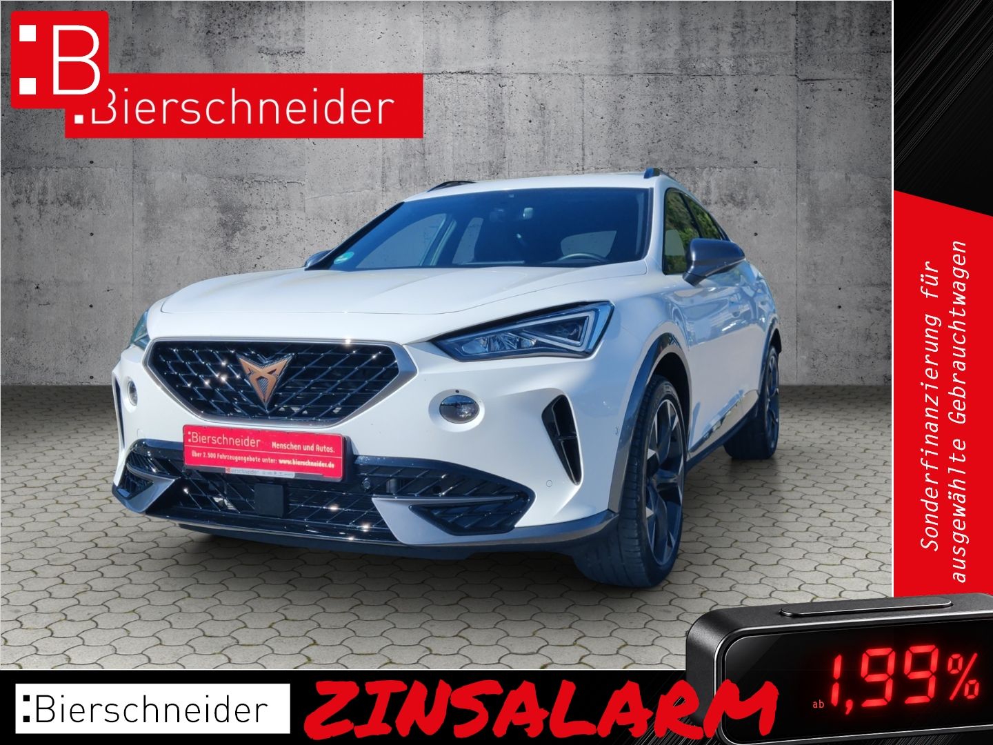 Cupra Formentor 2.0 TSI DSG 4Drive VZ 5-J-GARANTIE DCC