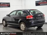 Audi A3 1.6 Attraction Klima Tüv 12/25 - Audi A3 aus 2003: 1.6