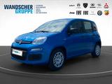 Fiat Panda 1.0 Pandina Pop PDC+SpurH+Facelift+Klima - Fiat Panda: 1.1