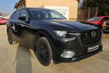 Mazda CX-60 e-SKYACTIV-D 200 HOMURA DA+Conv & Sound - Mazda CX-60 Tageszulassungen