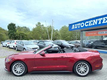 Ford Mustang - 4