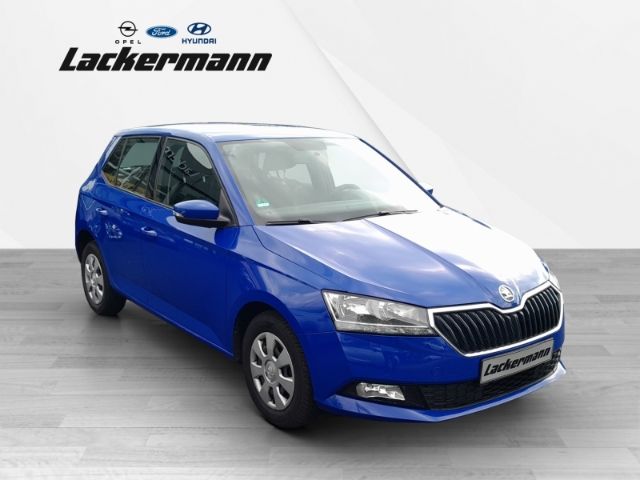 Fabia Active Plus 1.0 Navi Klima Allwetter