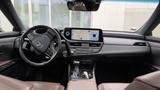 Lexus ES 300 300h Luxury Line Automatik Luxury Line - Lexus ES-Serie: Limousine