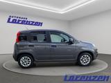 Fiat Panda More Easy 1.2 8V 51kW Musikstreaming PDC A - Fiat Panda: More