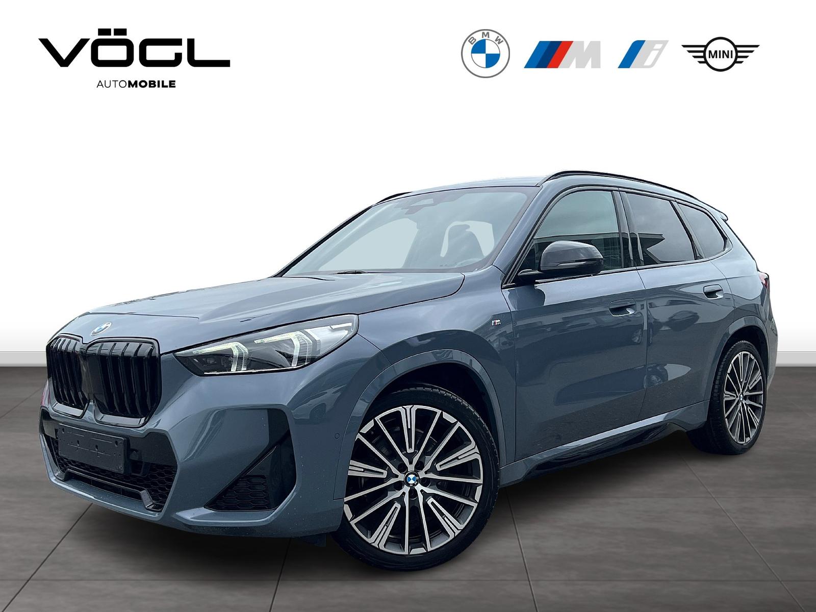 BMW X1 xDrive23d M Sportpaket AHK Driving Assistant 