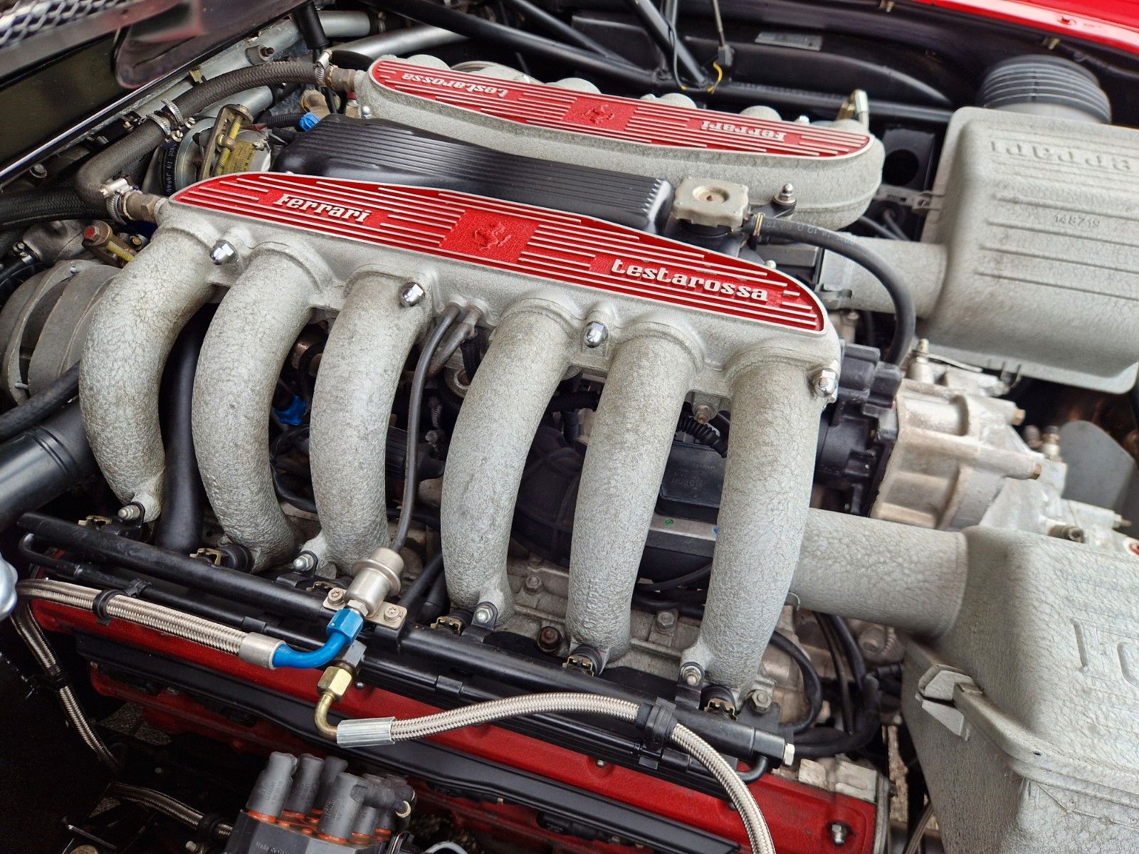 Fahrzeugabbildung Ferrari 512 TR *dt.Auto*top*