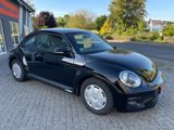 Volkswagen Beetle 2,0 TDI 2.Hand Scheckheft 8-fach bereift - Volkswagen Beetle: TDI