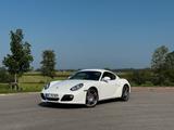 Porsche Cayman S 3.4 - gebrauchte Porsche Cayman aus dem Jahr 2010