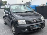 Fiat Panda 1.2 8V Dynamic,Klima,HU - gebrauchte Fiat Panda aus dem Jahr 2011