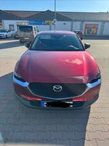 Mazda CX-30 e-SKYACTIV-G M-Hybrid 140 Takumi AT Takumi - Mazda CX-30 Takumi mit Benzin-Antrieb