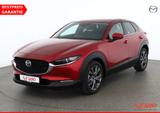 Mazda CX-30 2.0 M-Hybrid Selection Aut. LED Head-Up - Mazda aus 2020