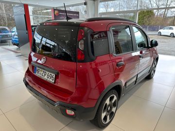 Bild 9 Fiat Panda Pandina Cross