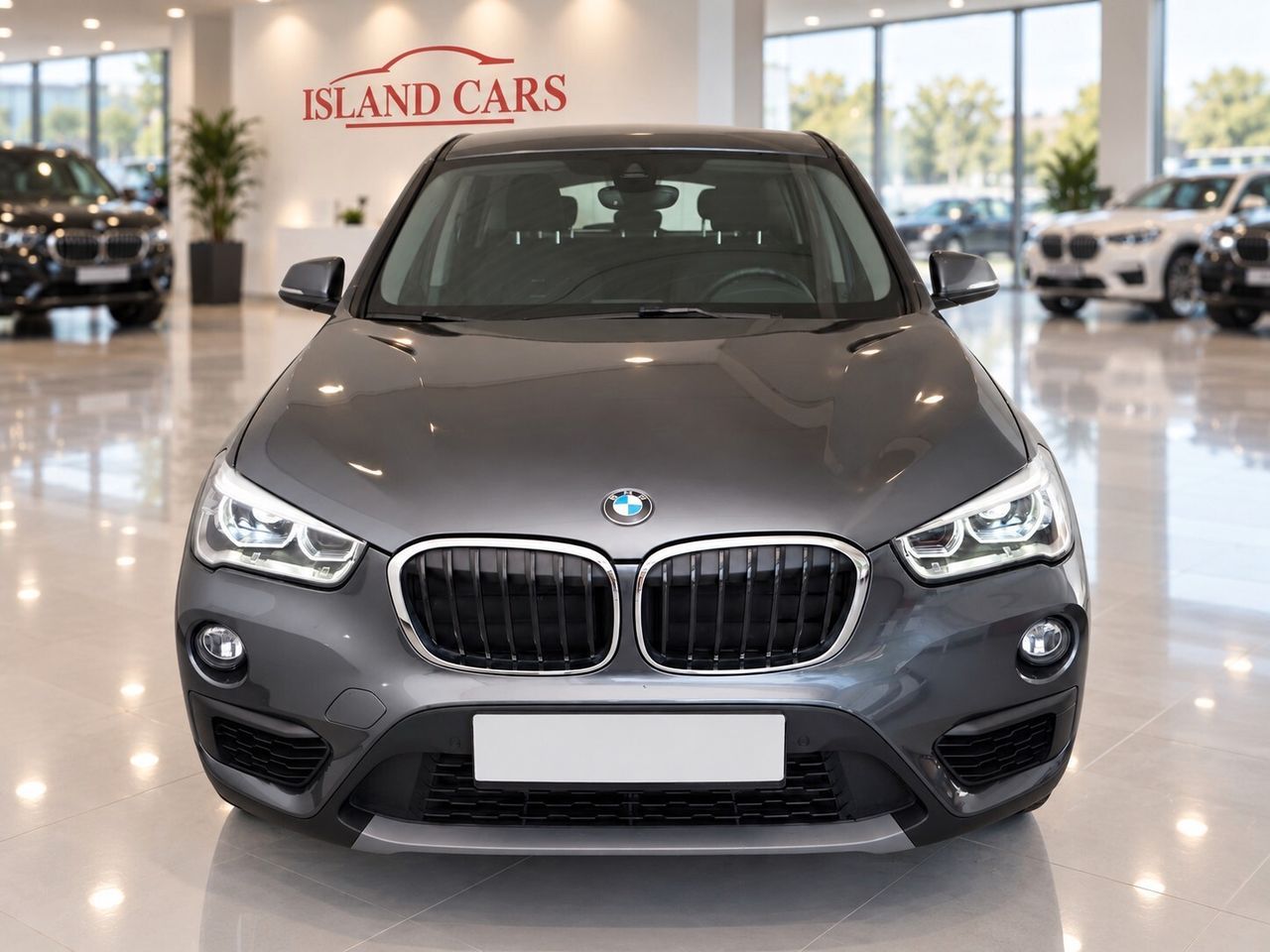 BMW Bmw X1 sDrive18i Advantage imagem 2