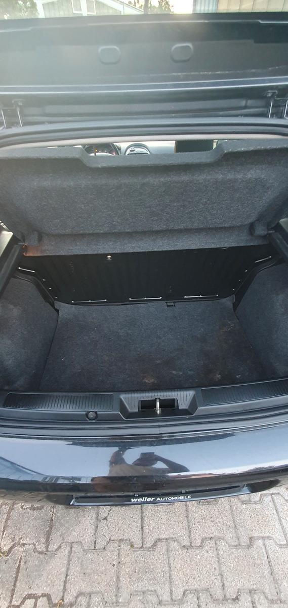 Fiat Punto More