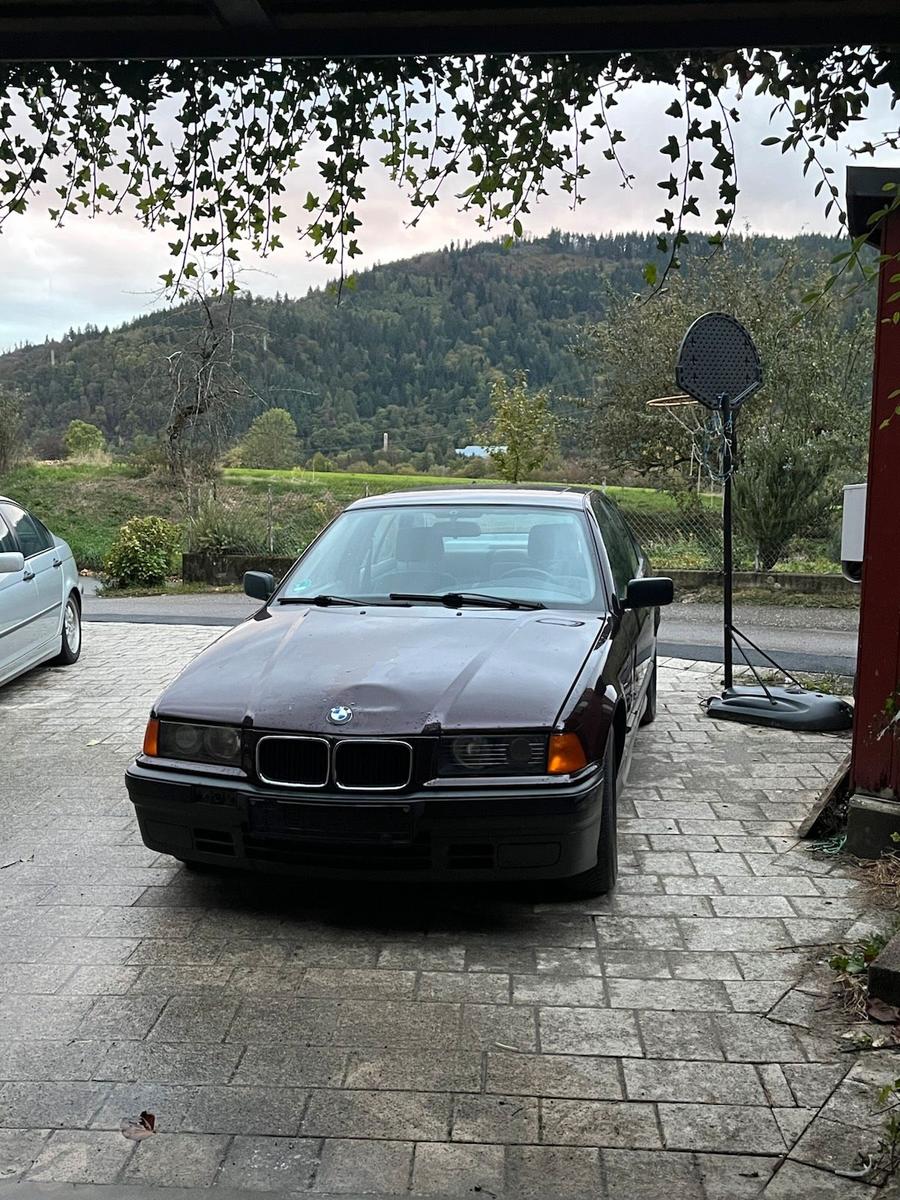 BMW 318