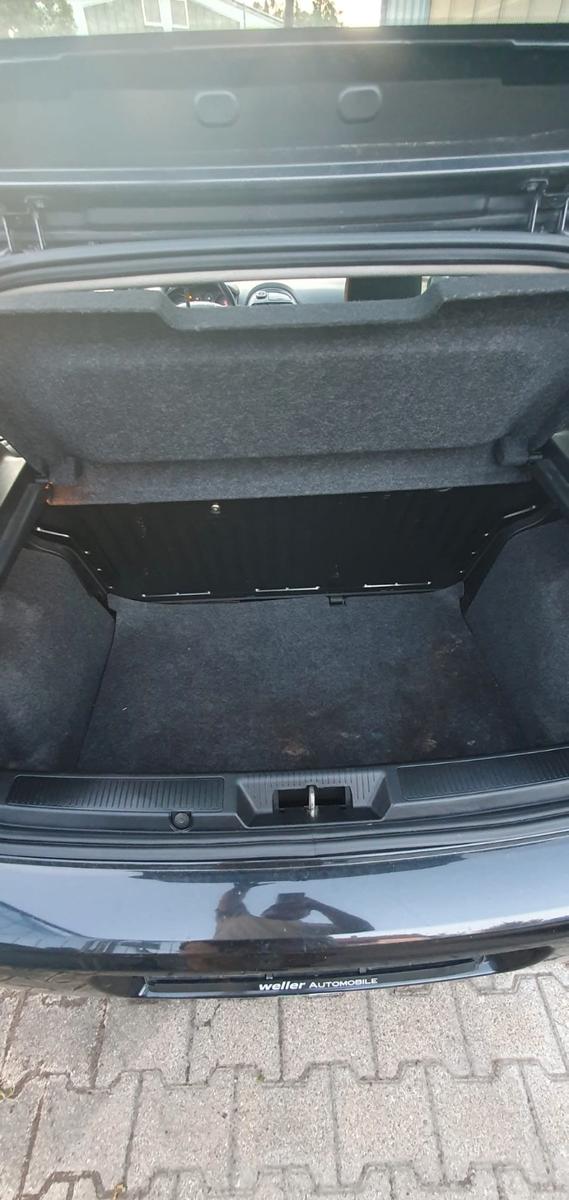 Fiat Punto More