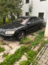 Audi A8 4,2 LPG 2000.- Festpreis - Audi A8 aus 2003: 4.2