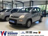 Fiat Panda Base *Bluetooth *Klimaanlage - Fiat Panda Gebrauchtwagen in Hamburg