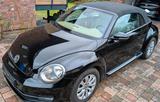 Volkswagen Käfer Beetle Cabriolet , 1.2 TSI, Cabrio - Volkswagen Käfer: Roadster