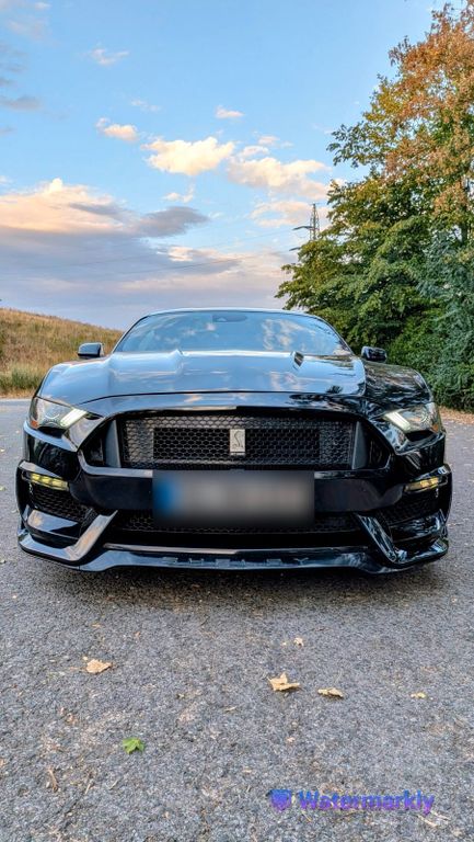 Image of Ford Mustang