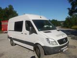 Mercedes-Benz Mercedes Menz Sprinter 313 - Mercedes-Benz Sprinter aus 2010: 313