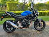Suzuki SV650 *A2 gedrosselt - wenig km - Reifen neu* - SUZUKI SV 650 A