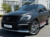 Mercedes-Benz ML 63 AMG.SD,Leder Beige,ACC,Harman-Kardon - Mercedes-Benz ML 63 AMG Gebrauchtwagen