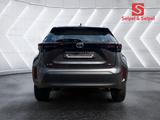 Toyota Yaris Cross HSD Comfort*Kamera*Carplay*Allwetter - Toyota Yaris Cross Comfort mit Hybrid-Antrieb (Benzin/Elektro)