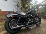 Harley-Davidson Sportster/Nightster