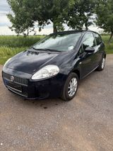 Fiat Punto EVO 1.2 8V -Active, gut gepflegt - Fiat Punto aus 2009