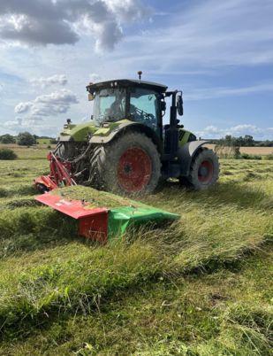 Andere Enorossi DMC 6 Roll Walzenaufbereiter