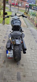 Harley-Davidson Softail Slim - Harley-Davidson Motorräder in Berlin