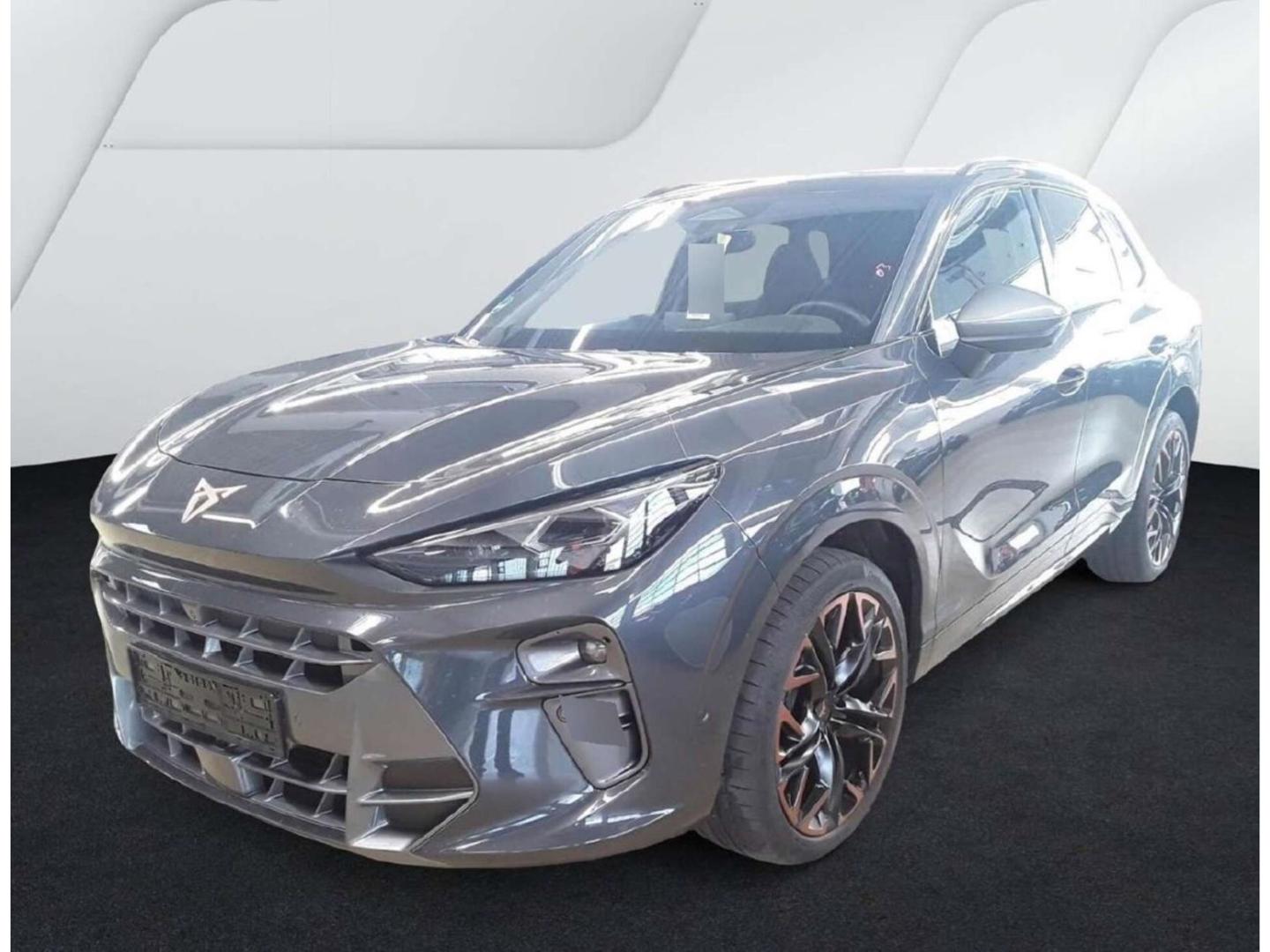 Cupra Terramar 2.0 TSI DSG 4Dr. HUD/Memory/360°/Matrix, миниатюра 2