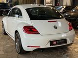 Volkswagen Beetle Design BMT/Totwinkel/PDC v&h/SHZ/Fender - gebrauchte VW Beetle aus dem Jahr 2015