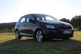 Skoda Fabia 1.0l MPI 44kW Cool Edition TÜV NEU - Skoda Fabia Gebrauchtwagen in Aachen