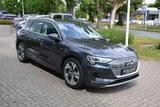 Audi e-tron 50 quattro Launch Edition Plus Pro Line*A - Audi e-tron Launch edition Gebrauchtwagen