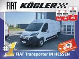 Fiat DUCATO KASTEN MAXI35 L4H2 180D AUTOMATIK - Fiat Ducato: L3h3