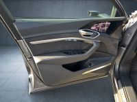 Audi e-tron - Vorschau Bild 24