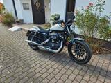 Harley-Davidson Iron sportster 883 - HARLEY-DAVIDSON 2010 SPORTSTER 883