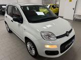 Fiat Panda Easy 1.2*SHZ*DAB+*FRONTSCHEIBENHEIZUNG* - Fiat Panda mit Benzin-Antrieb: Kleinwagen, Schaltgetriebe