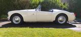 MGA - MG MGA mit Benzin-Antrieb