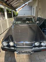 Jaguar XJ12 - graue Jaguar XJ12