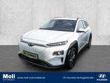 Hyundai KONA Style Elektro 2WD Navi Soundsystem LED Appl