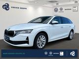 Skoda Octavia Combi 2.0 TDI DSG Selection +ACC+AHK+NAV - Skoda mit Diesel-Antrieb