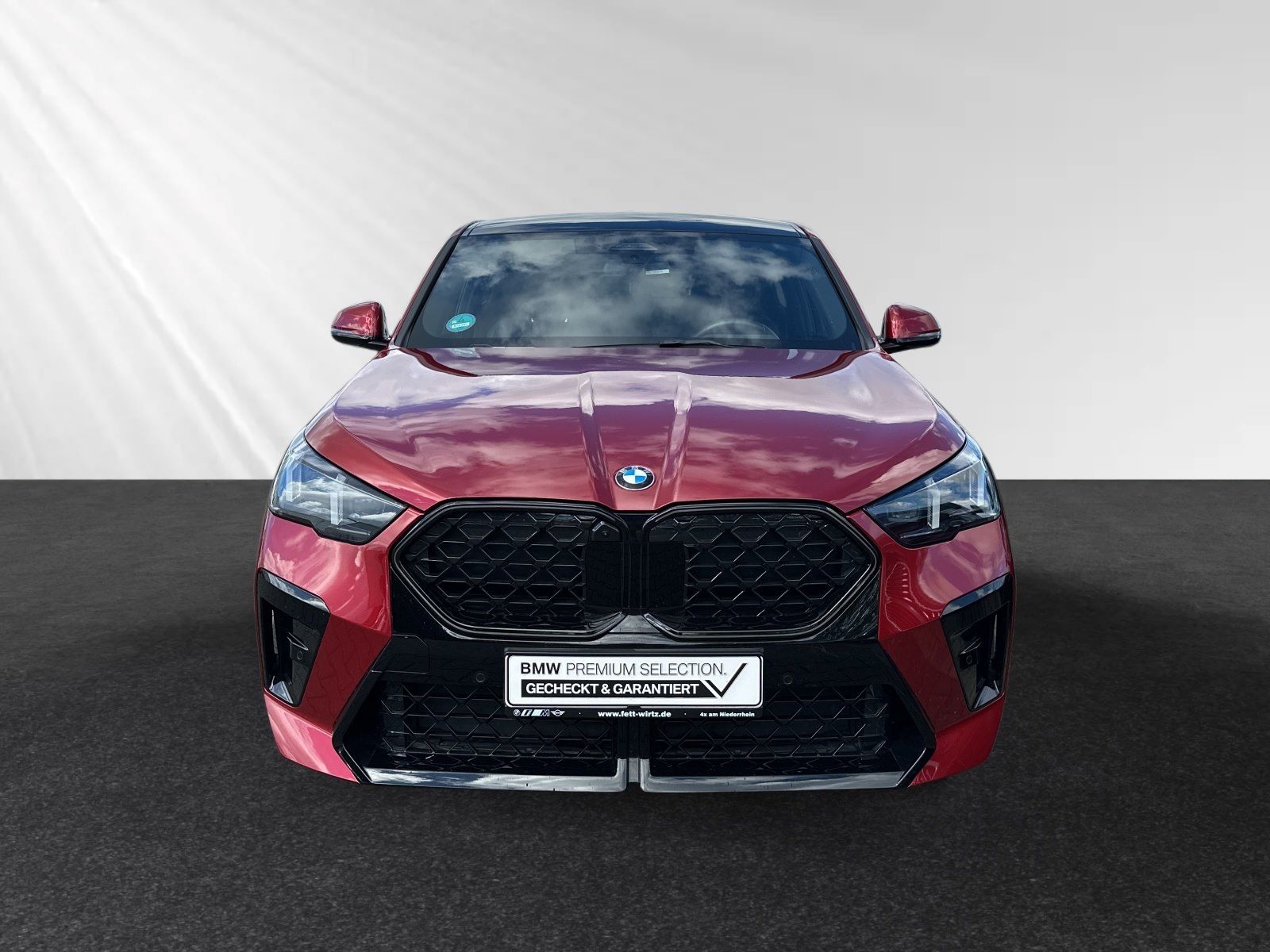 BMW X2 sDrive20d M Sport Pro Pano Head-Up 19 LMR foto 5