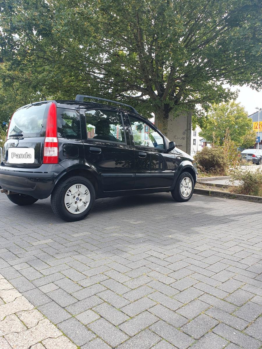 Fiat Panda 2007 — photo 7