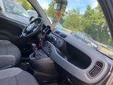 Fiat Panda Easy - Fiat Panda aus 2019